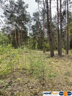 Działka w lesie 2064 m - letniskowa i całoroczna
