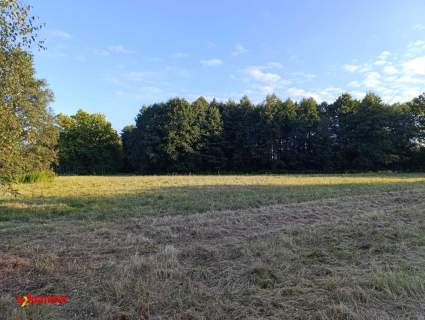 Atrakcyjne działki w pobliżu lasu- Chocianów