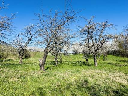 Prawie pół hektara pod Ślężą Wyjątkowa 4142 m2