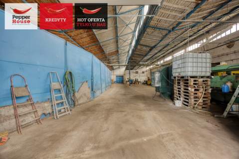 Hala 1800 m2 w Pakości - Produkcja Magazyn Biura