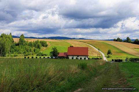 DZIAŁKA BUDOWLANA 27 AR W OLSZYNACH gm. RZEPIENNIK