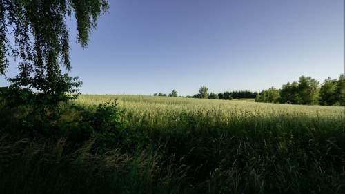 Działka - Łęcze