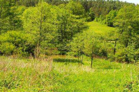 Działki 6100m2 w uroczym zakątku Bircza - las, łąka,staw