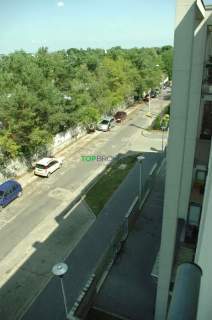 Słoneczne studio dla singla przy lesie, parking