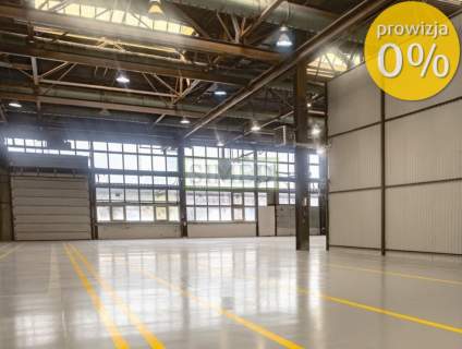 Hal 6 m wys,wjazd Tir do środka,parking,ochrona24h
