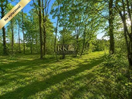 Premium Investment Plot   2010 m Siedlce