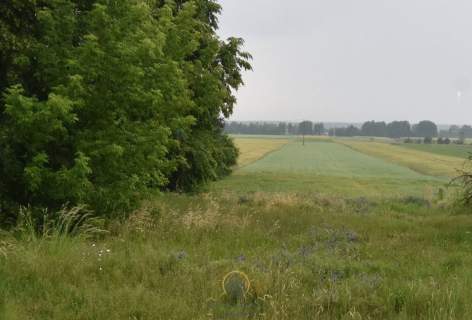 Dziaka budowlana