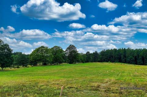 Okolica jeziora Dołgie i kompleksów leśnych.