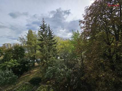 Jasne 3 pokoje z loggią w zieleni Mokotowa