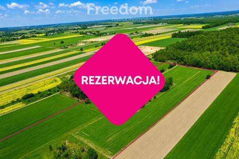 7ha z siedliskiem i projektowaną strefą górnictwa