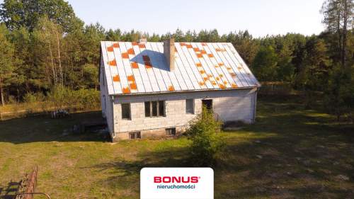 Siedlisko w otoczeniu lasów mazurskich