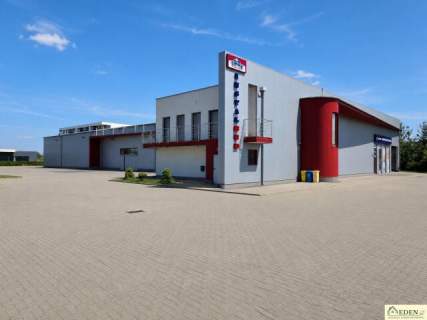 Do wynajęcia Hala z pomieszczeniami biurowymi 1600m2 400m2 w...