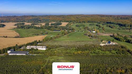 Obiekt na sprzedaż, 160 m2, Binowo