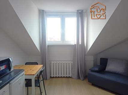 Wiejska 68, Nowe Miasto, kawalerka pet-friendly