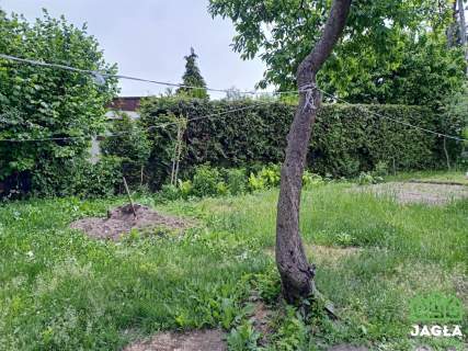 Jagodowo działka ROD 464/35m5 domek murowany las
