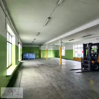 Zakład produkcyjny z dużą działką w Brzezinach
