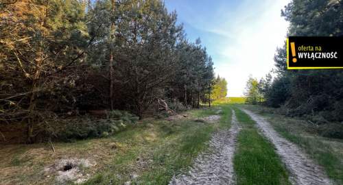 1,67 ha gruntu w cenie 40 000 zł