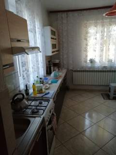 Sprzedam gospodarstwo rolne o pow. 1,50 ha wraz z zabudowani