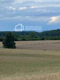 Mieszkanie z widokiem na morze-Dębogórze