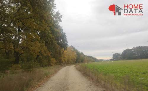 Działki w otoczeniu natury - Jaszkowo k/Śremu