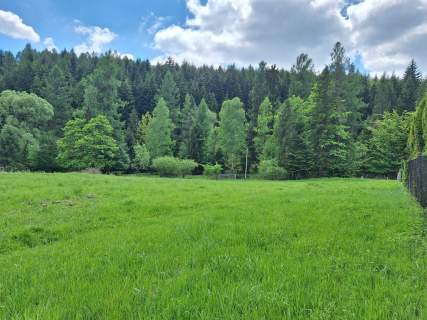 Targoszów działka 2350 m2 spokój las góry