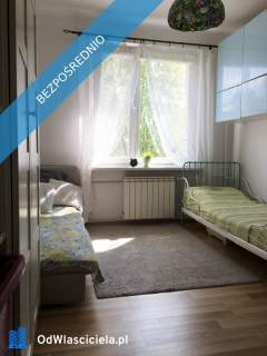Enklawa zieleni w centrum