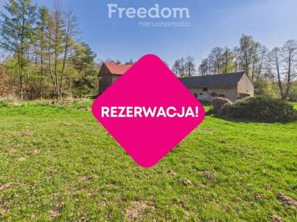 Wyjątkowe siedlisko z duszą nad rzeką