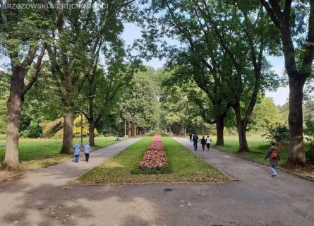 Saska Kępa, Lipska, 4 pok., 89/101 m2, 1939 r.