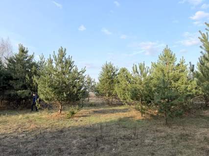 Działka budowlana w Uwielinach 05-540 ul. Różana