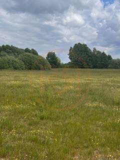 Działka w Reglu Wydane WZ