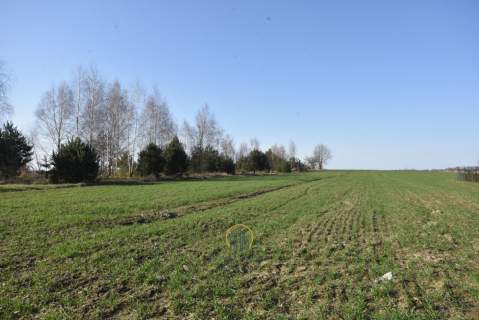 Działka przy Jeziorze Kunów