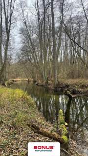 Działka na turystykę z dostępem do rzeki Płonia