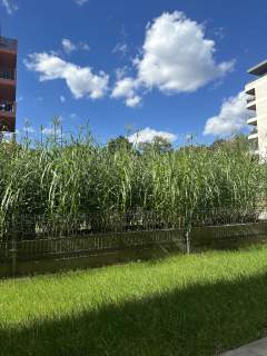 2 pokoje, wykończone, Grunwald, nowy blok, widok na Park.