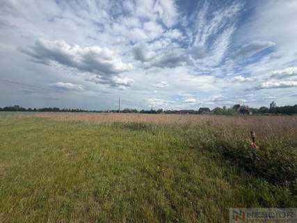 Działka 1200 m2 Pustelnik