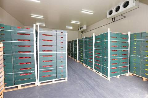 Chłodnia, magazyn 50-200 m regały, wózek widłowy
