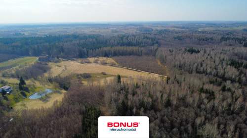 Siedlisko 2,05 ha pod warmińskim lasem