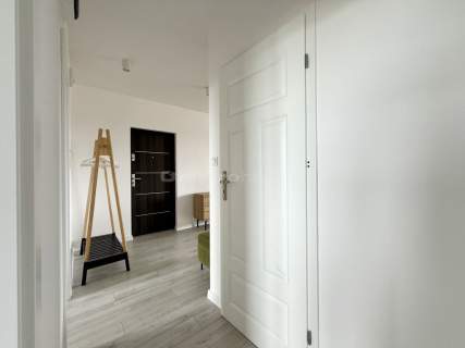 3 pokojowe, Koniuchy, balkon - do wprowadzenia