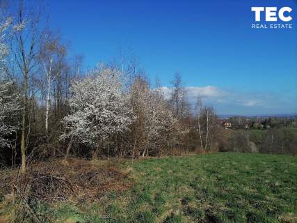 73 ar I Wrząsowice I zielona spokojna okolica