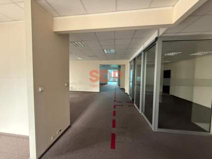 Biuro z potencjałem Całe piętro 221,96 m2