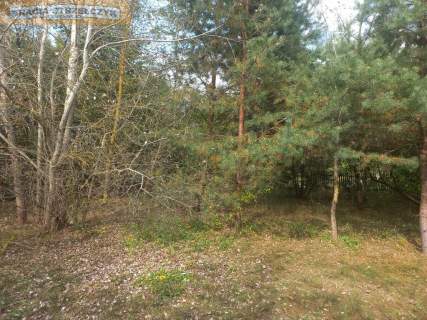 Działka 2500 m2 nad Narwią Zambski Kościelne