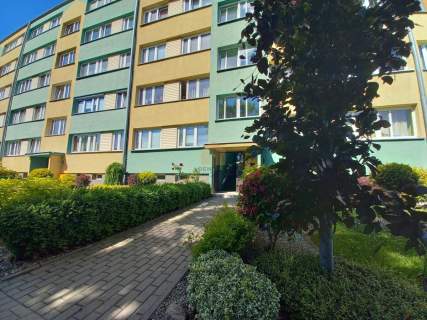 Jasne 2 pokoje z osobną kuchnią i widokiem na góry