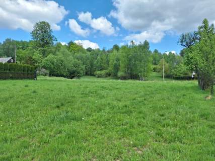 Targoszów działka 2350 m2 spokój las góry