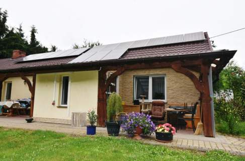Dom wśród świerków