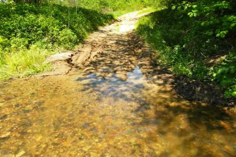 Działki 6100m2 w uroczym zakątku Bircza - las, łąka,staw