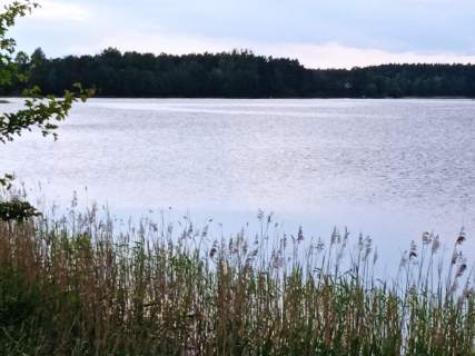 Działka nad jeziorem