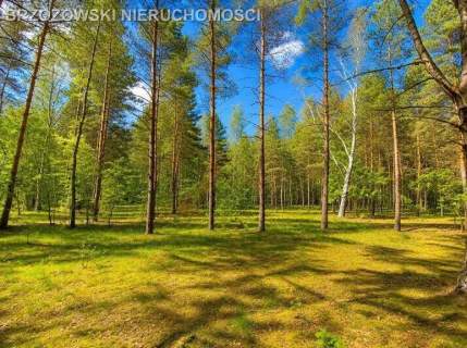 Józefów, 1520 m2, MPZP, mieszkaniowa dwulokalowy
