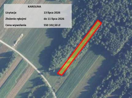 Budowlana i las, Mińsk Mazowiecki, licytacja