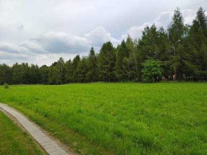 Działka w cichym i spokojnym miejscu