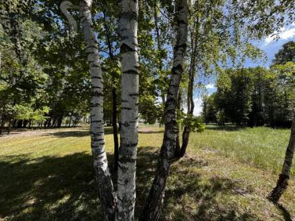 Działka rolna 6,5 ha - grunty orne Arkadia ok Nieborowa 0 % prowizji