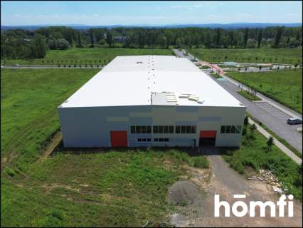 Hala pod usługi, przemysł Igołomska